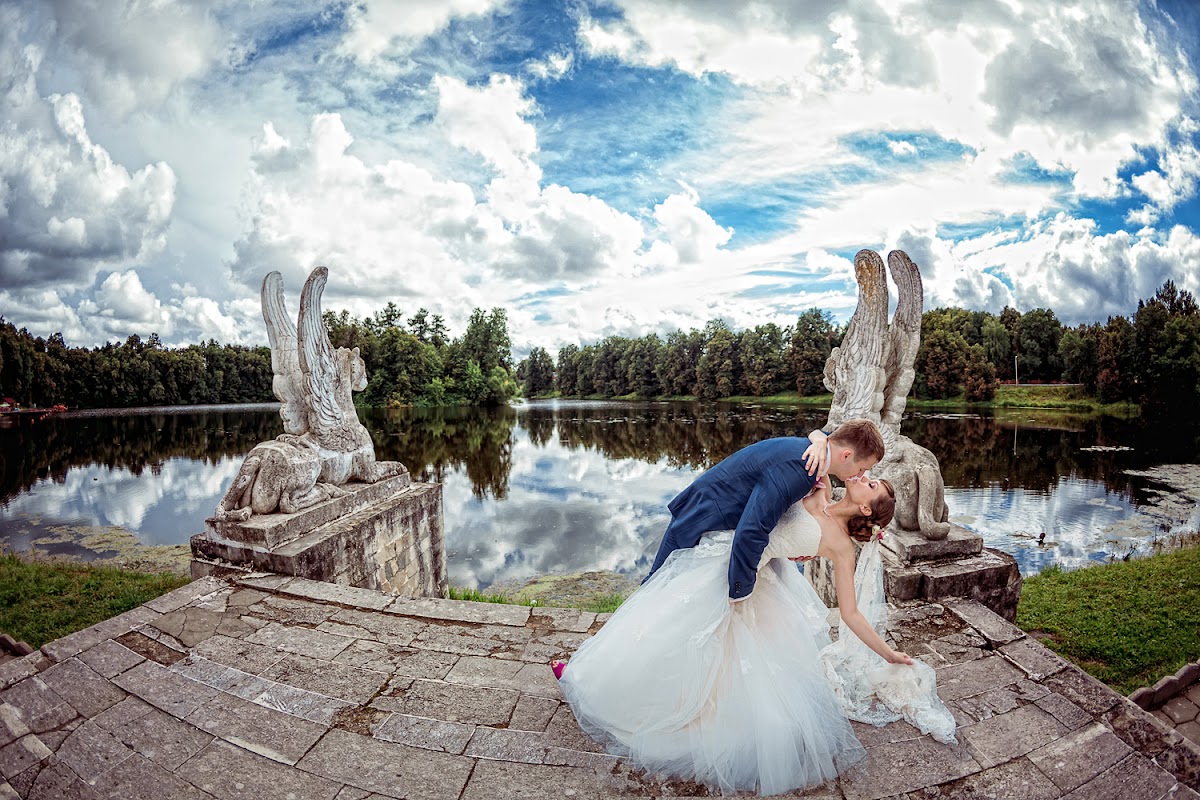 Кадр 44 из 114