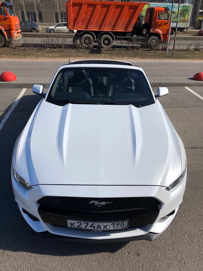 Ford Mustang — кадр 5 из 13