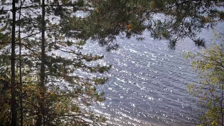 Фотографии