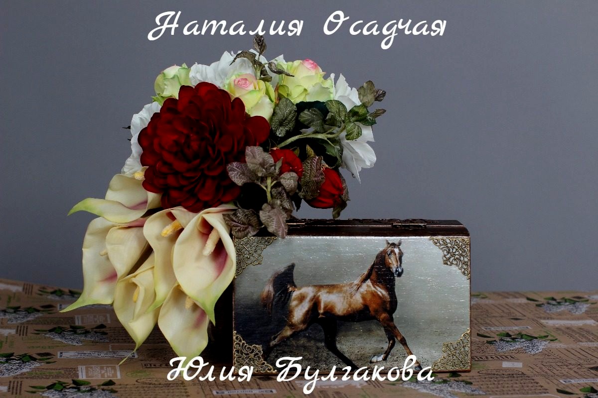 Портфолио