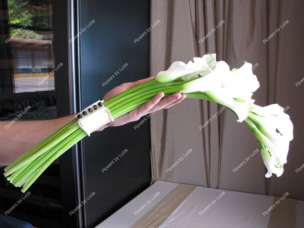 Flowers by Luiza