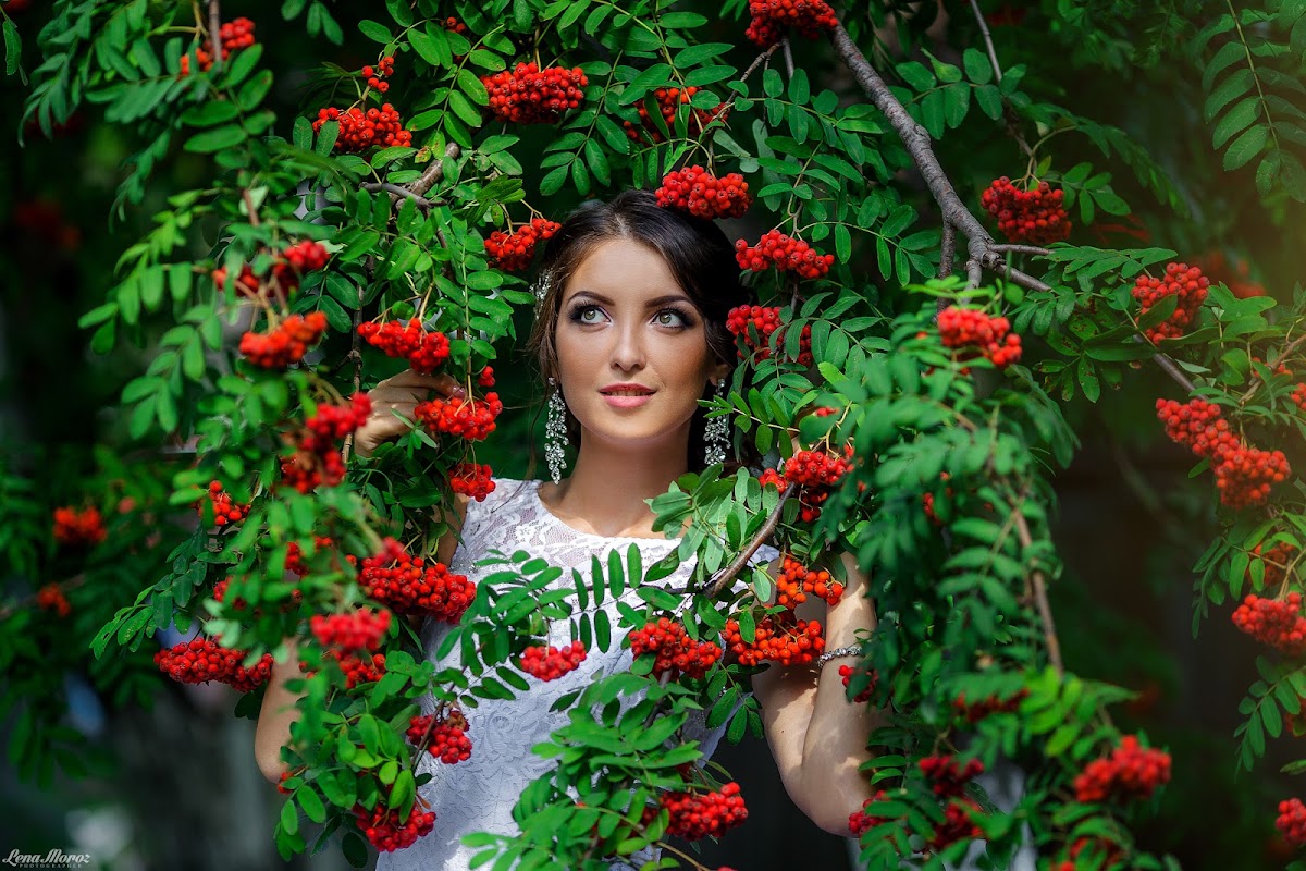 Портфолио: Свадьба
