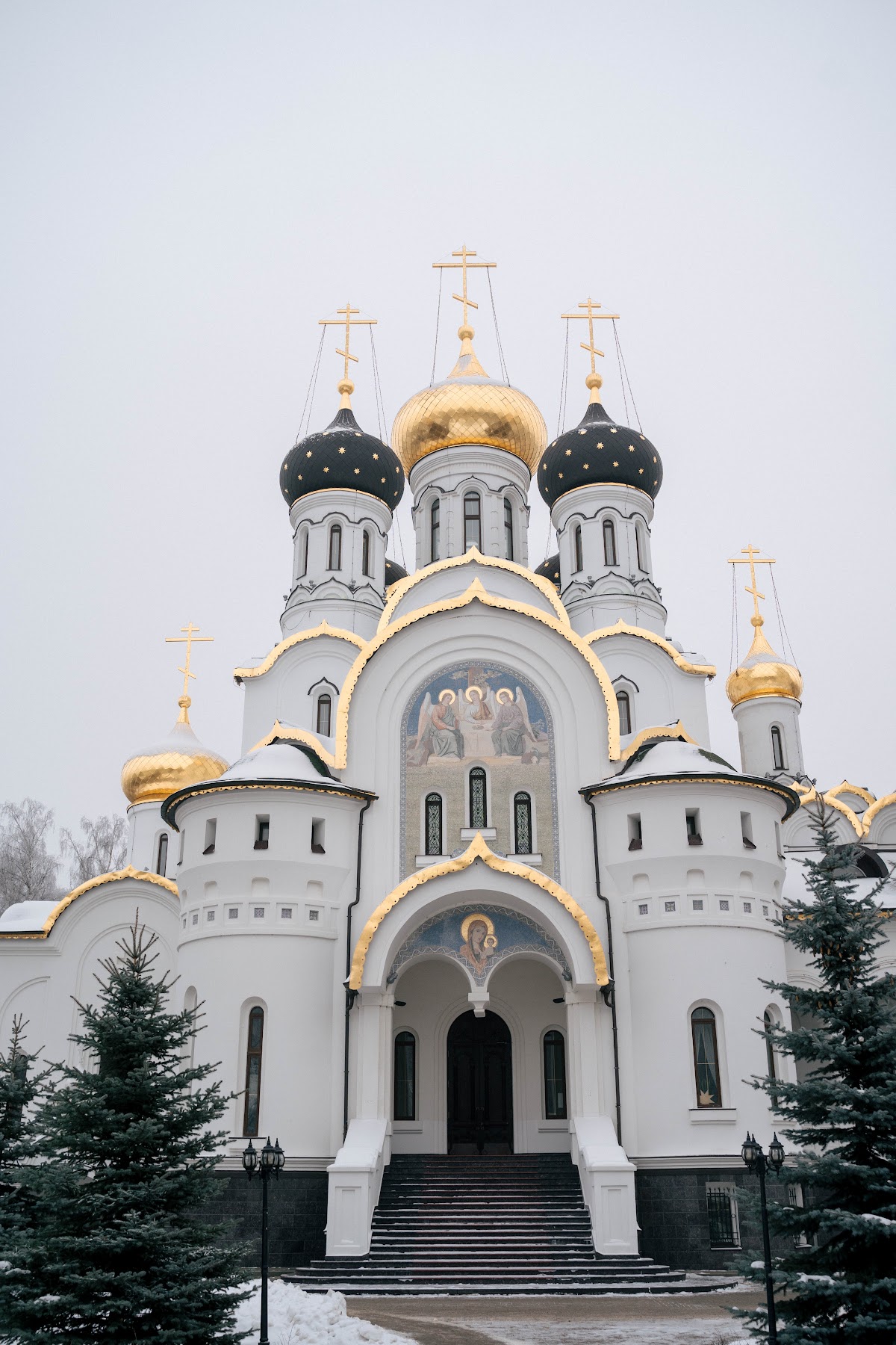 Фотографии