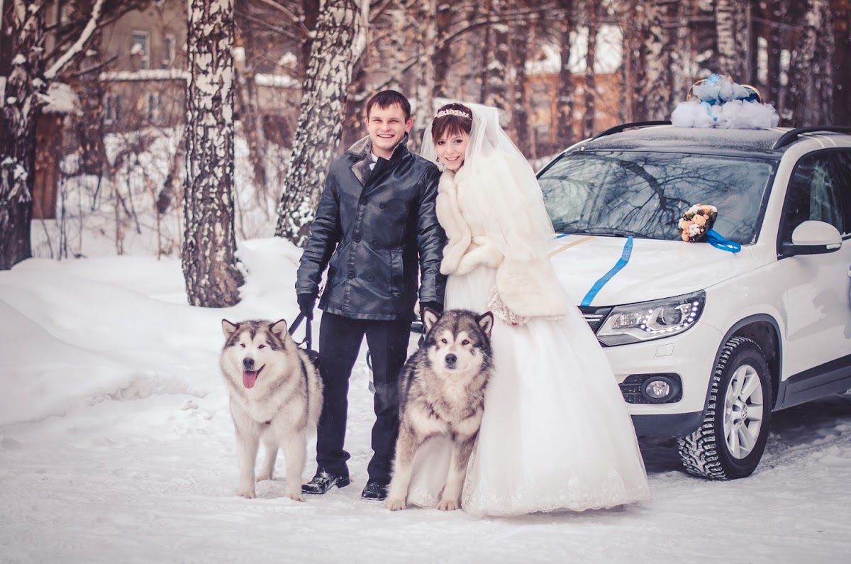 Свадебный отчёт