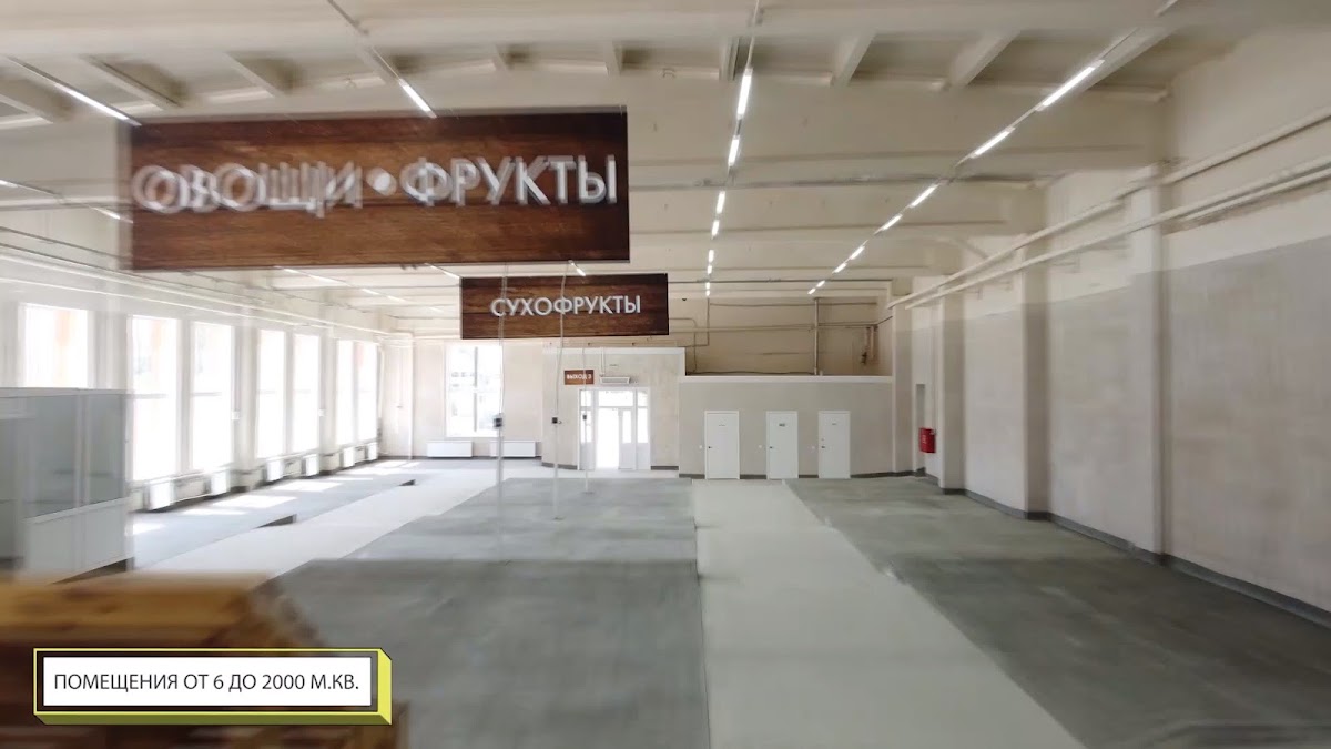Фотографии