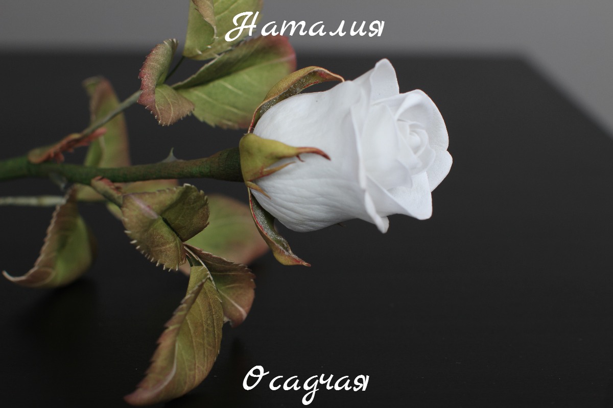 Кадр 32 из 103