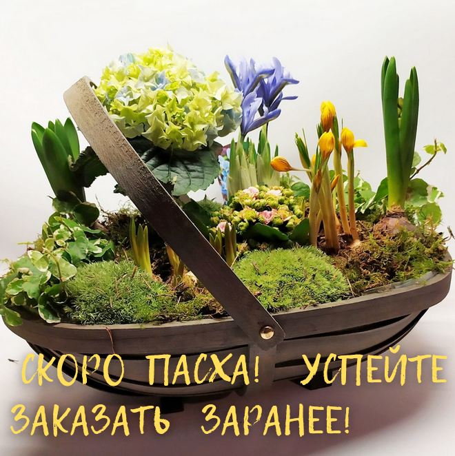 свадебная атмосфера