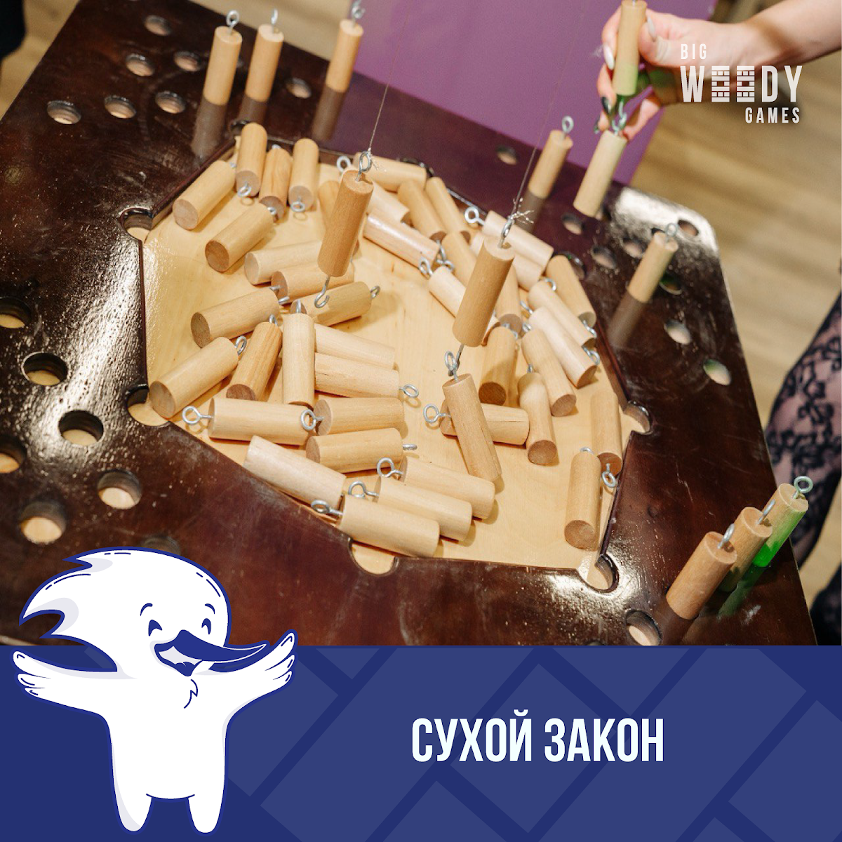 Портфолио