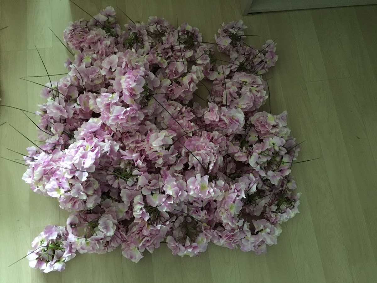 Кадр 73 из 75
