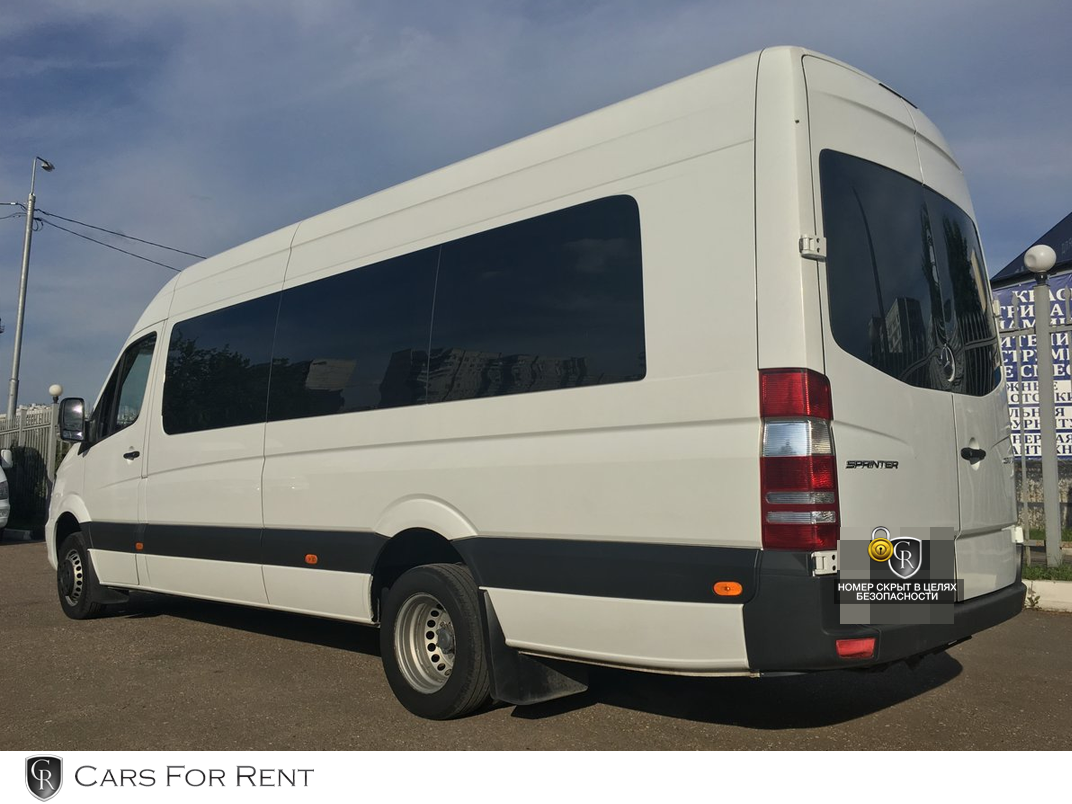Mercedes Sprinter LUX — кадр 2 из 3