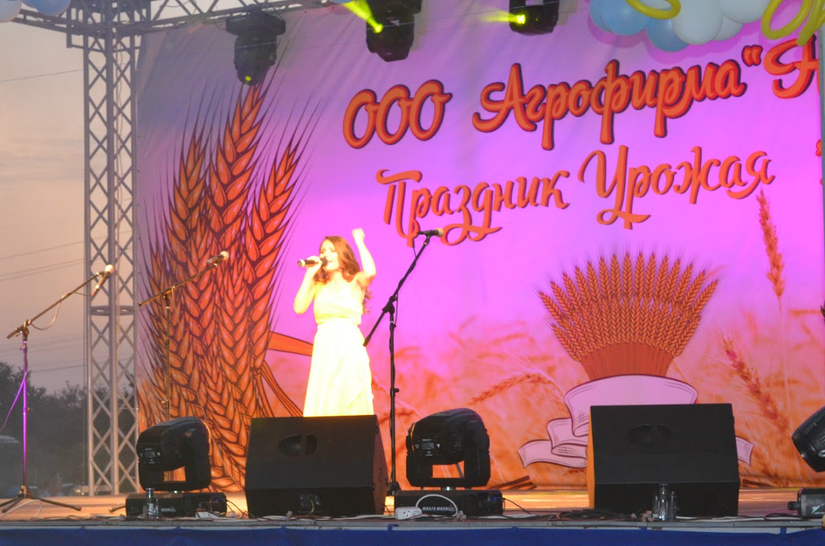 Портфолио: Свадьба