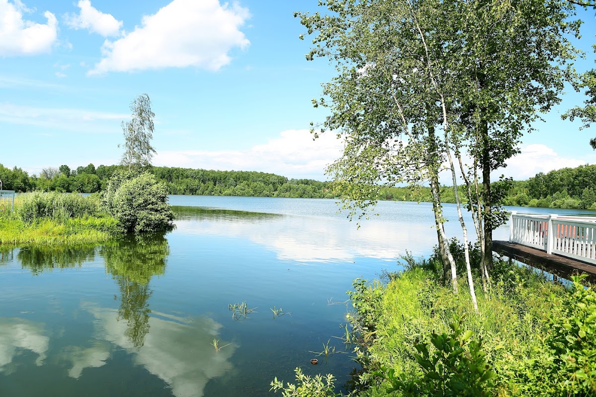 Фотогалерея ресторана