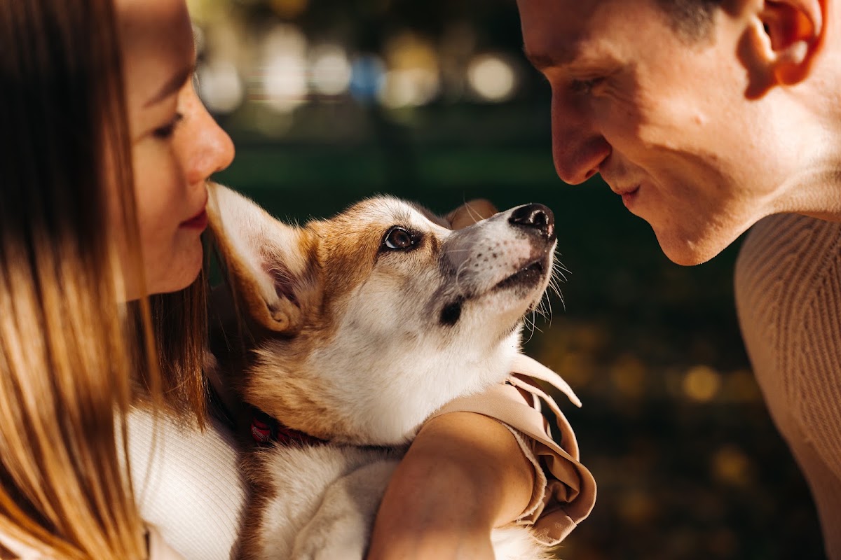 Портфолио: Love story