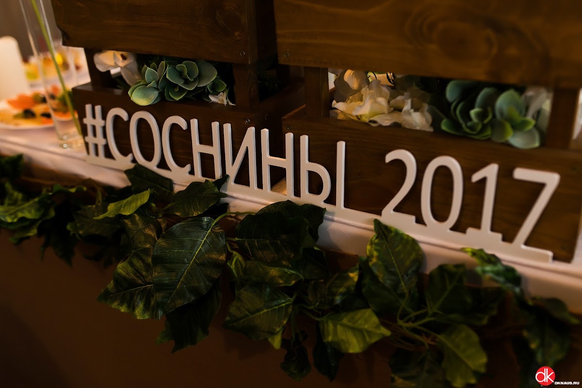 #Соснины_2017