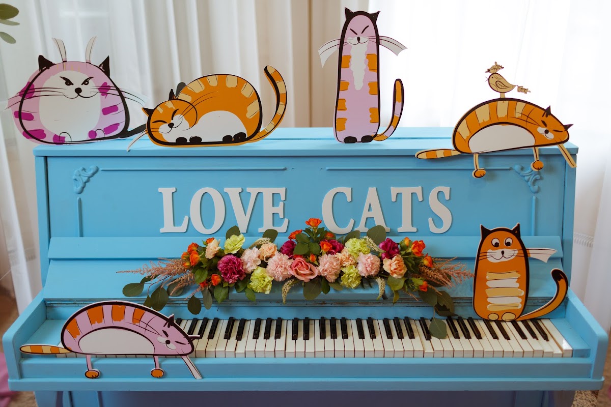 Love cats