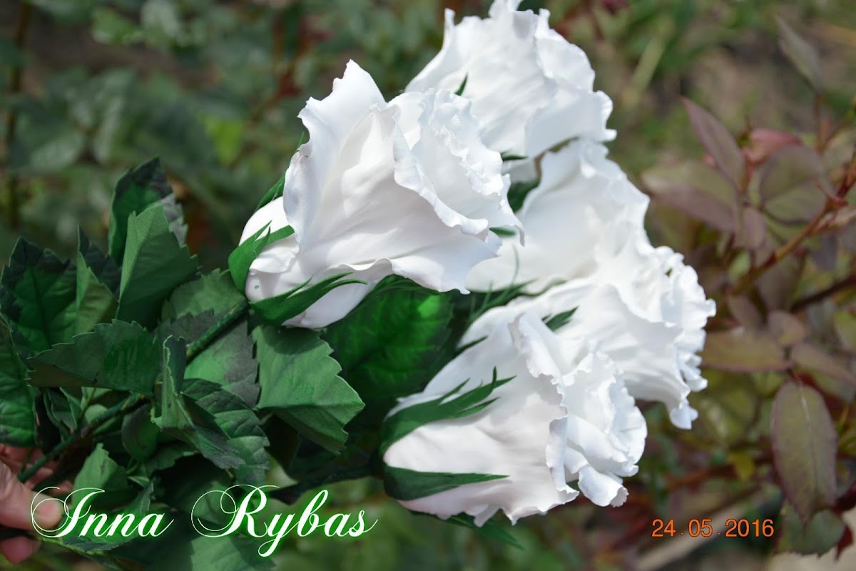 Кадр 36 из 42