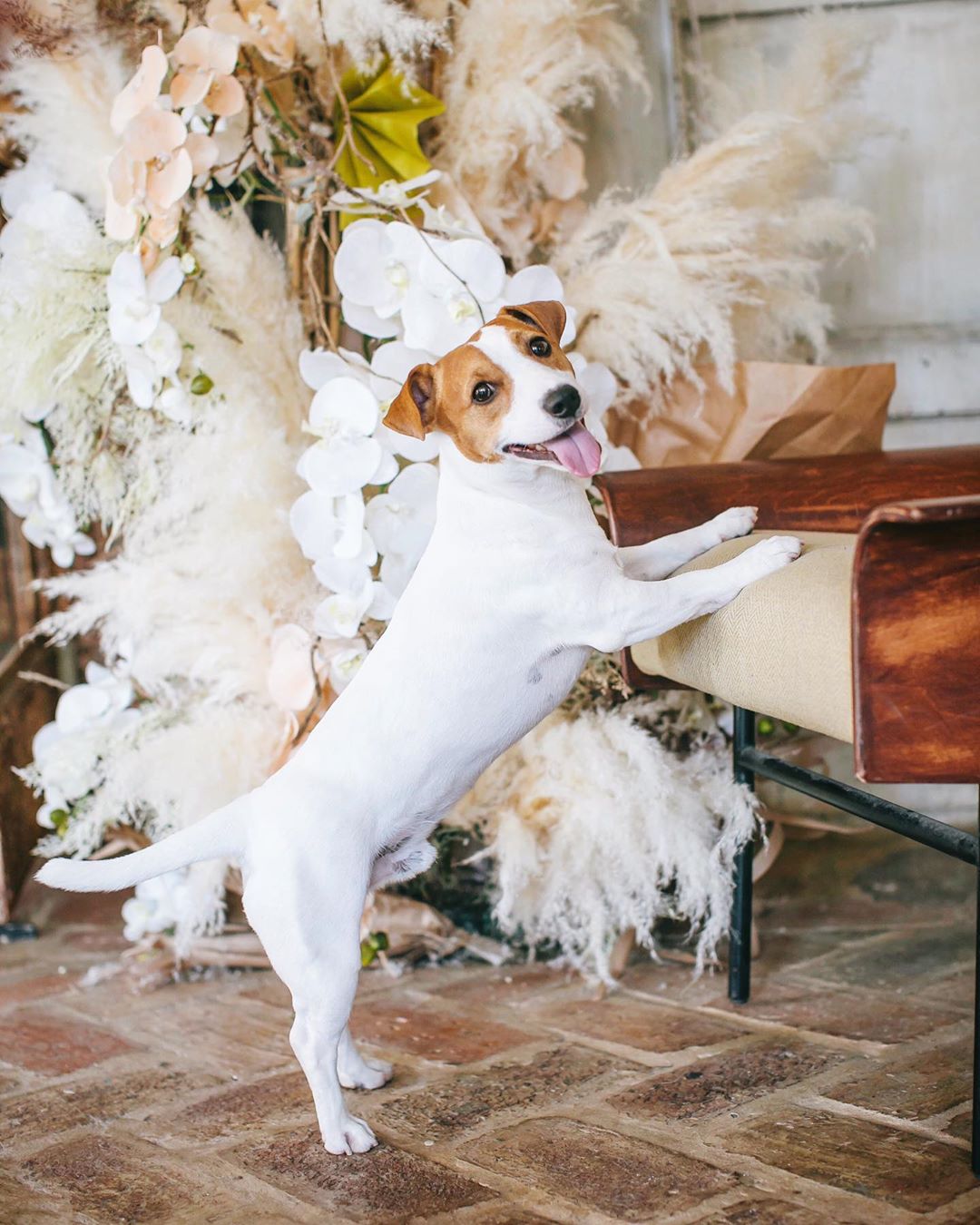 for Love decor