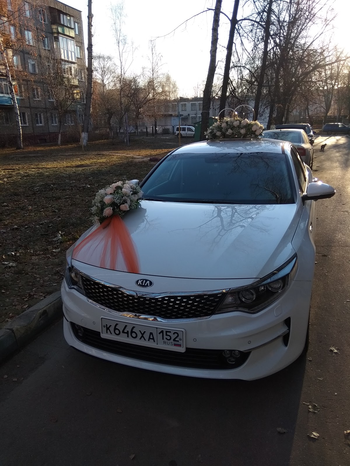 Кадр 51 из 95