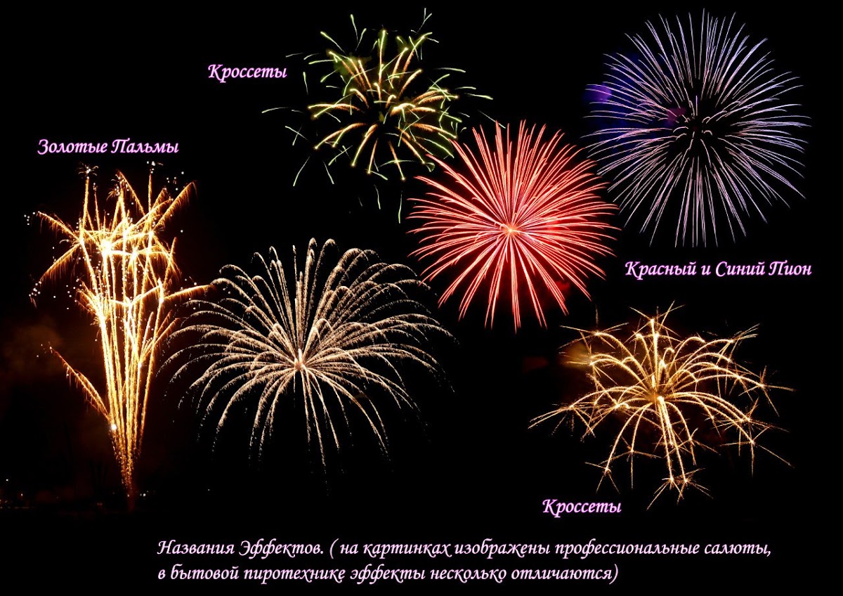 Портфолио: Свадьба