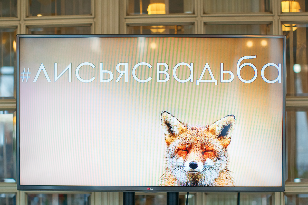 Кадр 73 из 111