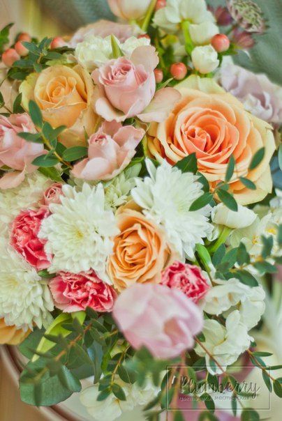 Plumberry flowers