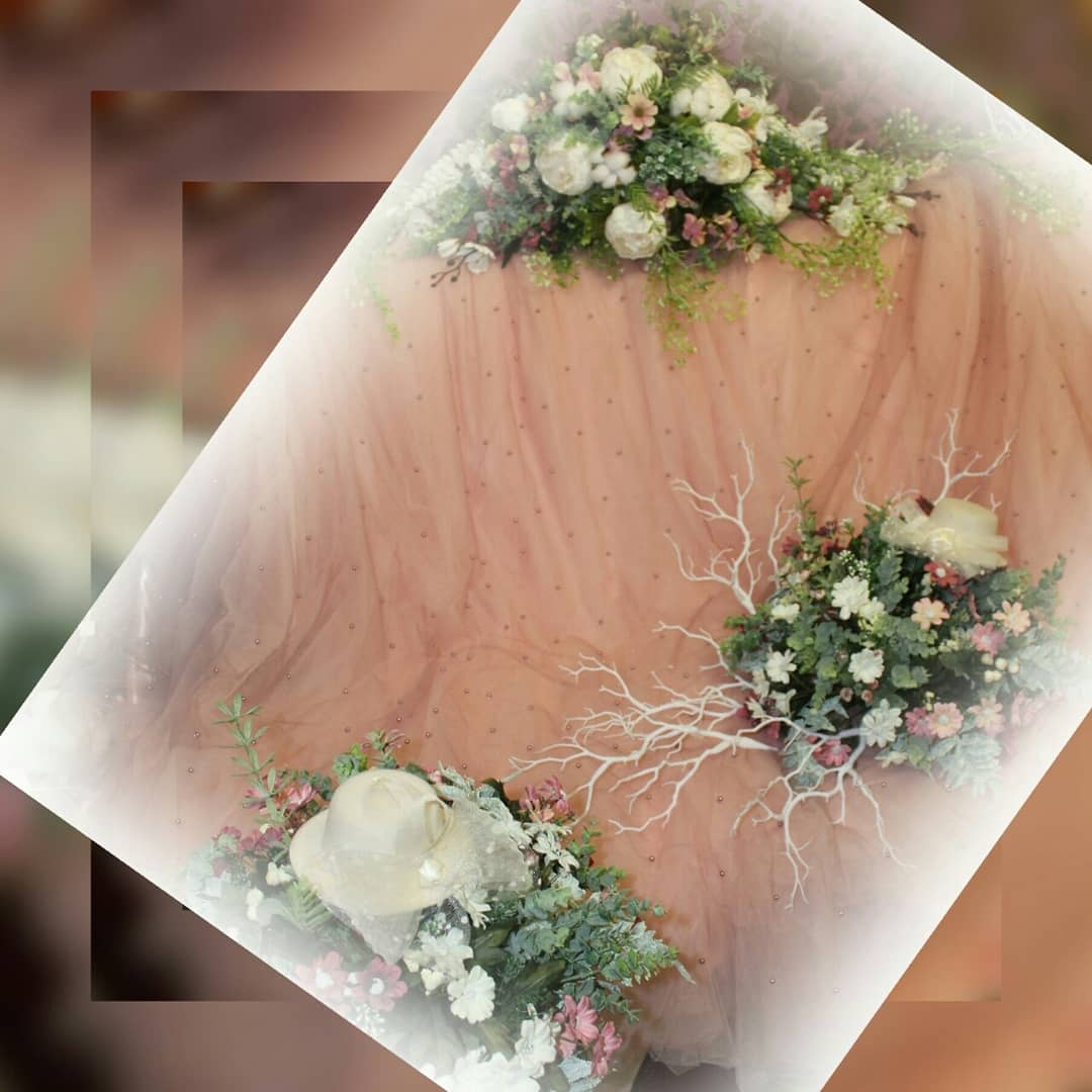 Фотографии