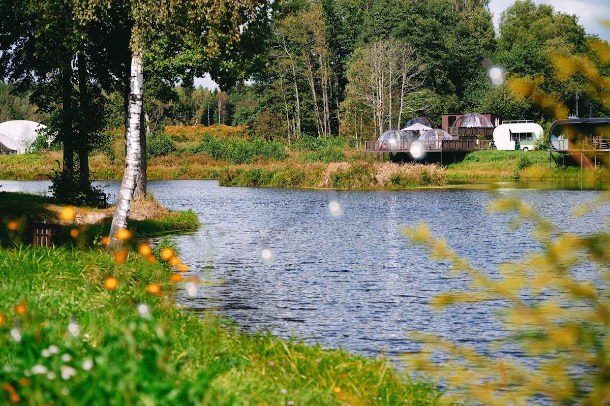 ПОЛЯРЕКИ