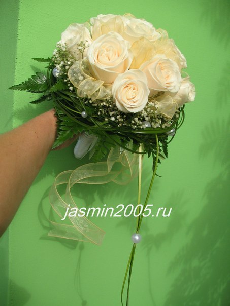 Портфолио