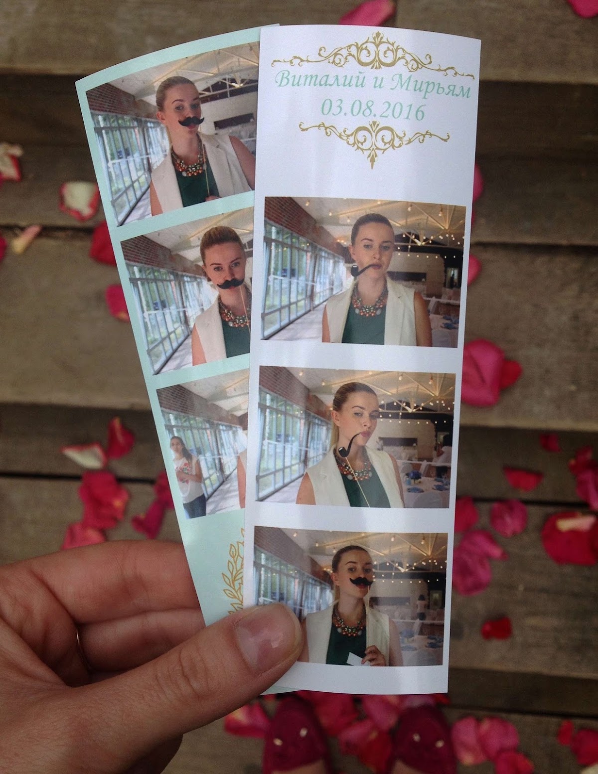 Портфолио