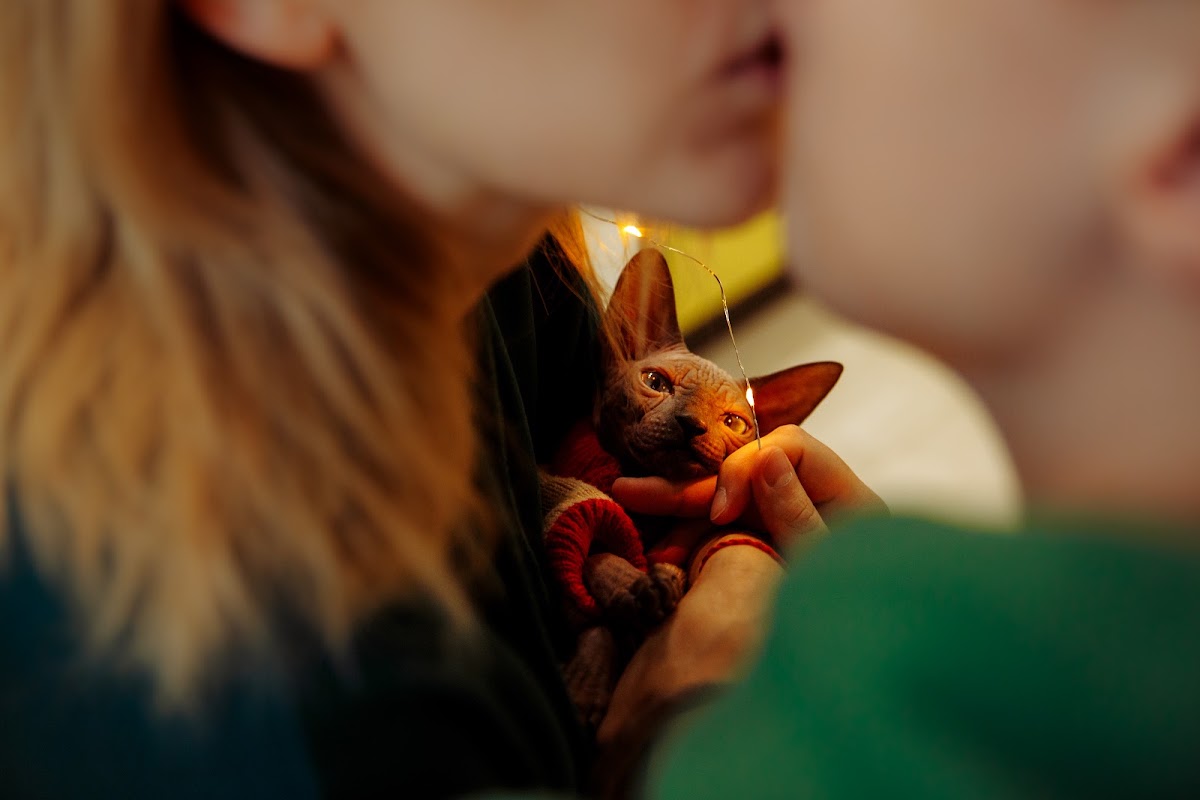 Портфолио: Love story