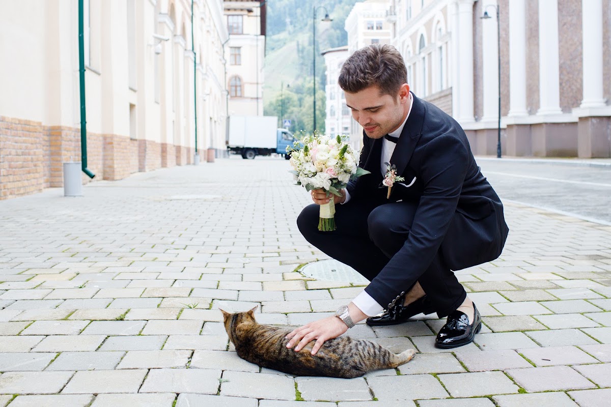 Кадр 43 из 73