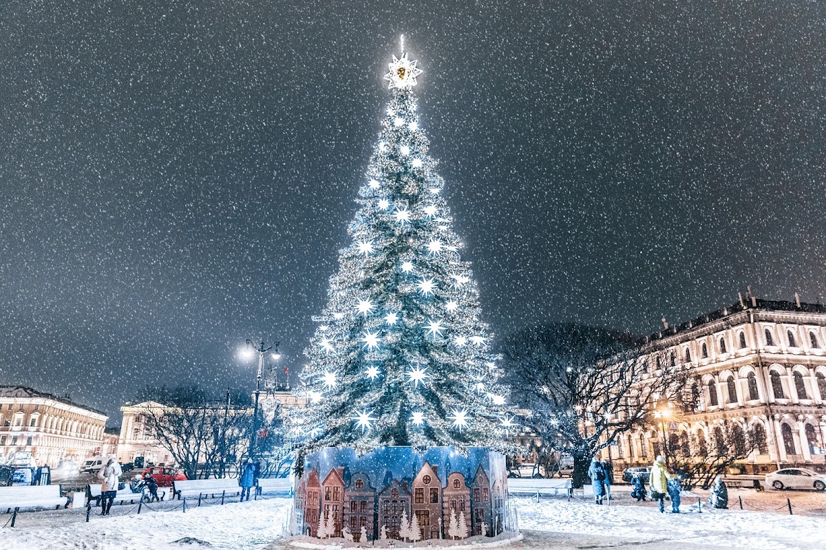 Портфолио: Новогодняя фотосъемка