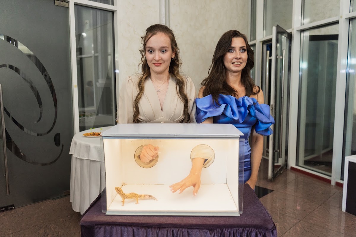 Выпускной 11 класс 25.06.24