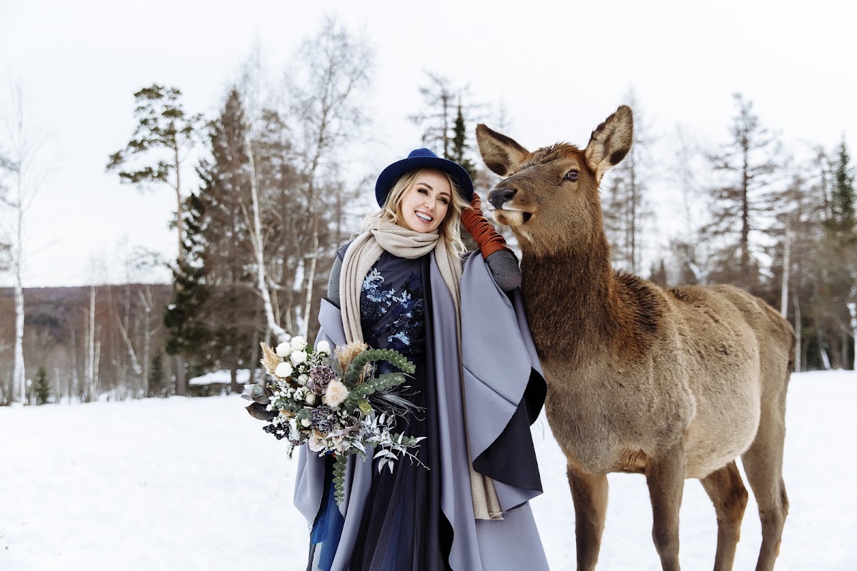 trip to the deer