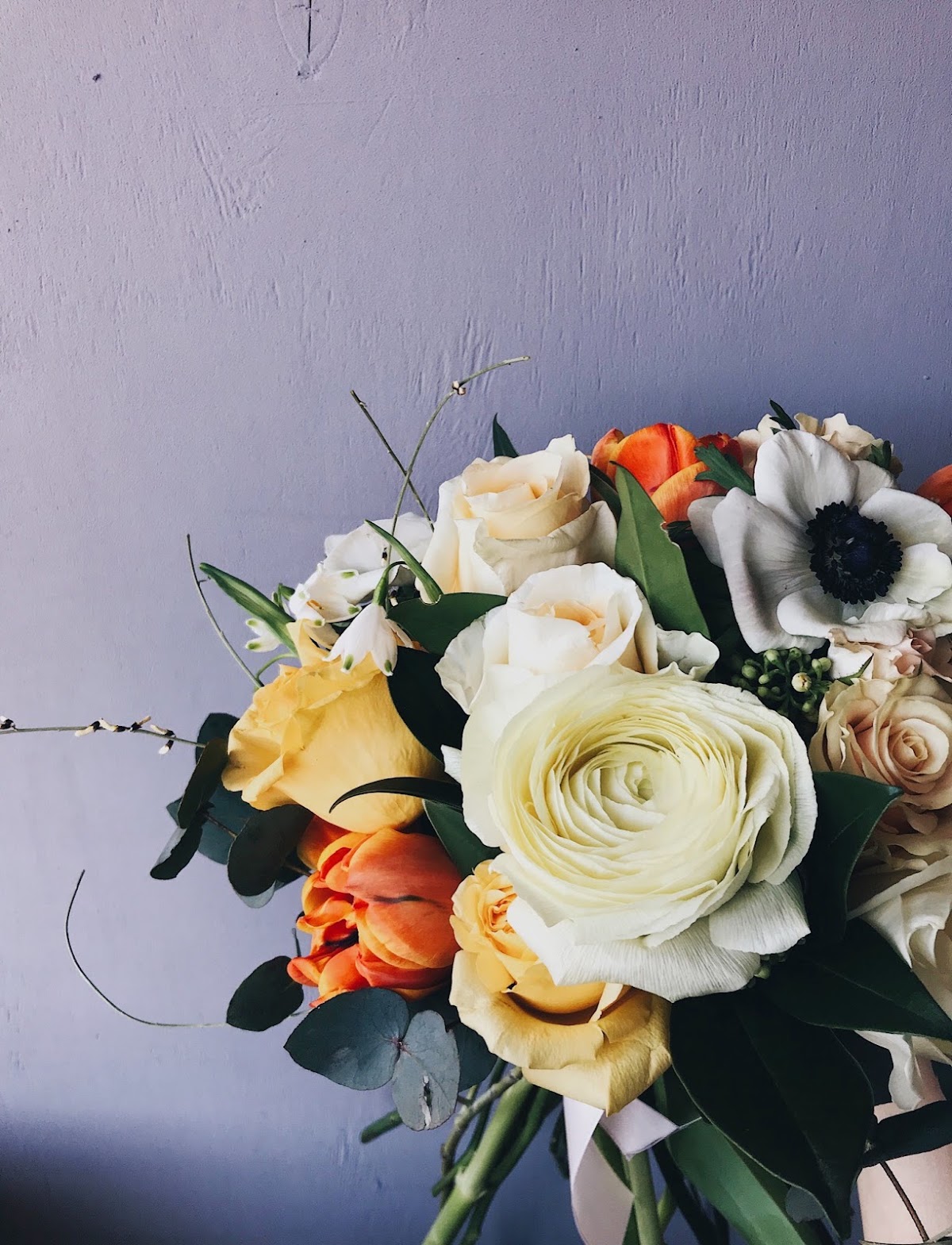 Портфолио