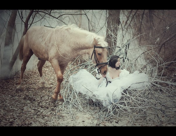 Портфолио: Свадьба