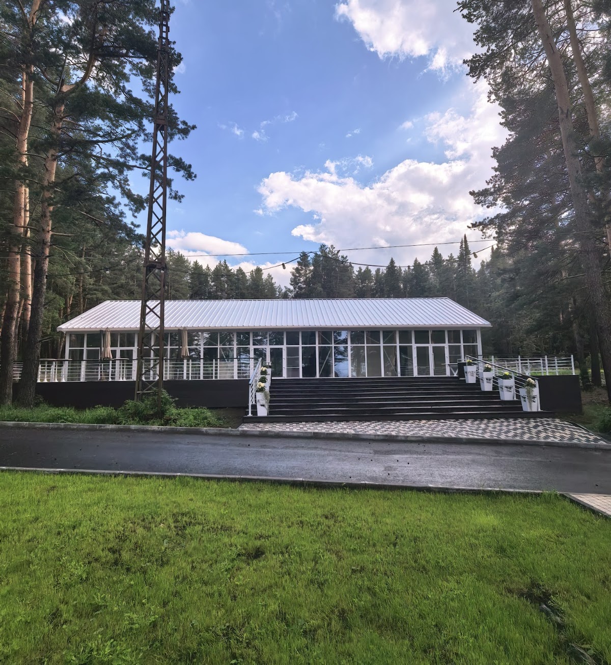 Заповедный лес
