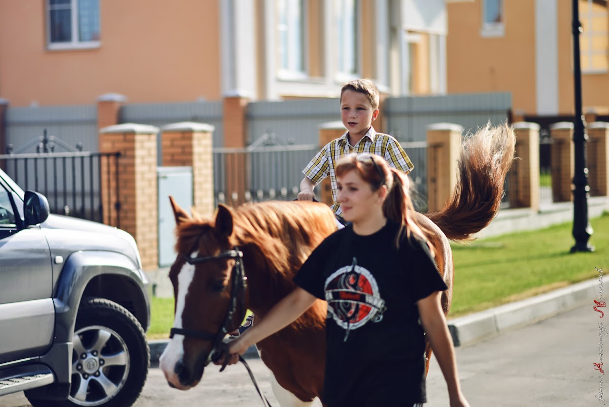 презентация в коттеджном поселке «Родные просторы» — июль 2014