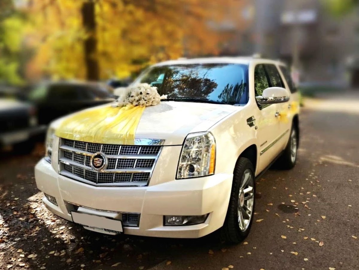 Escalade 7 mest Vip