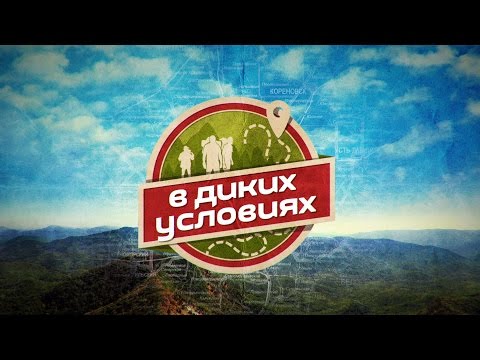 Портфолио: Свадьба