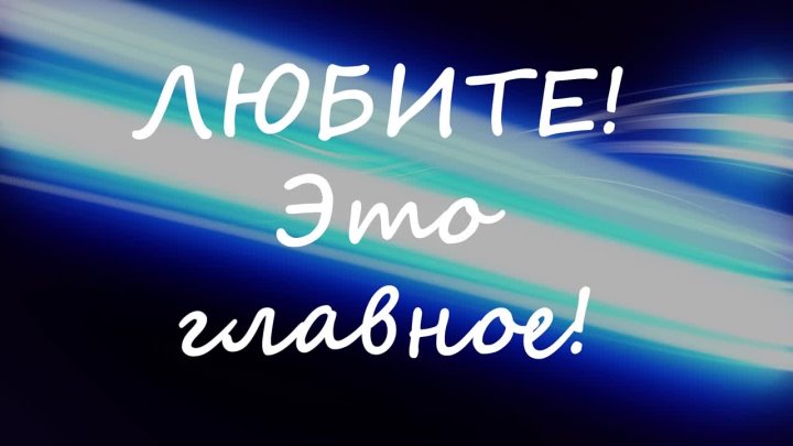 Портфолио: Свадьба