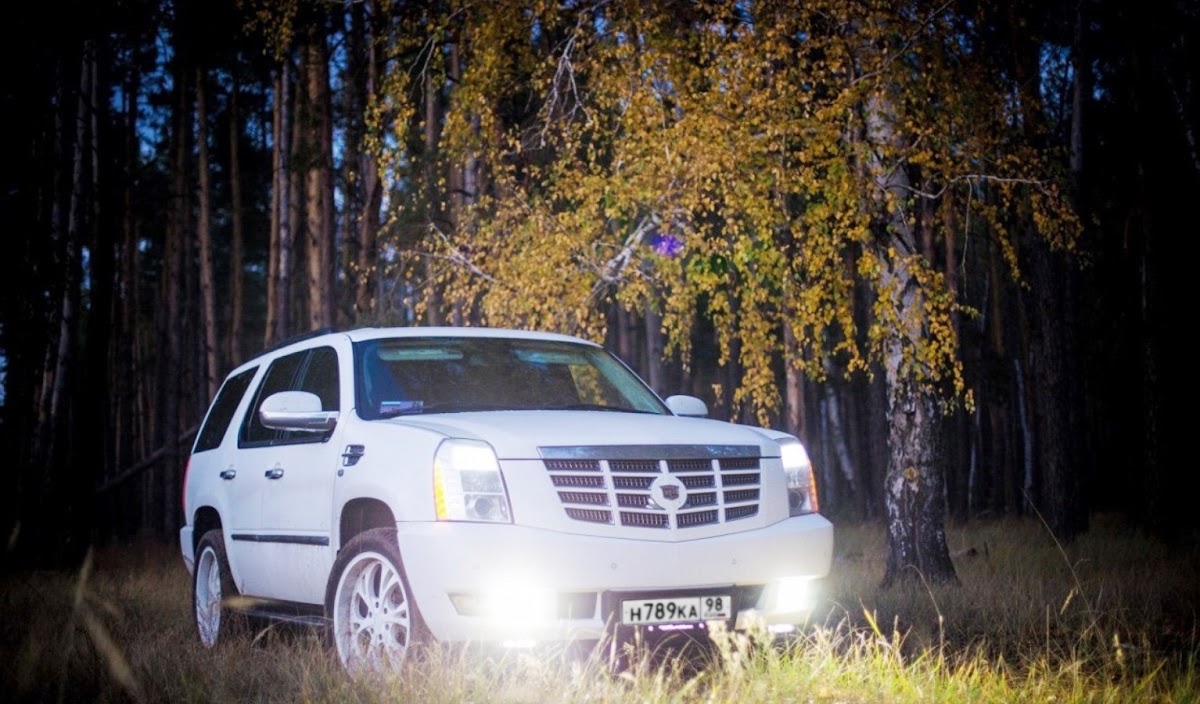 Cadillac Escalade Elite Vip