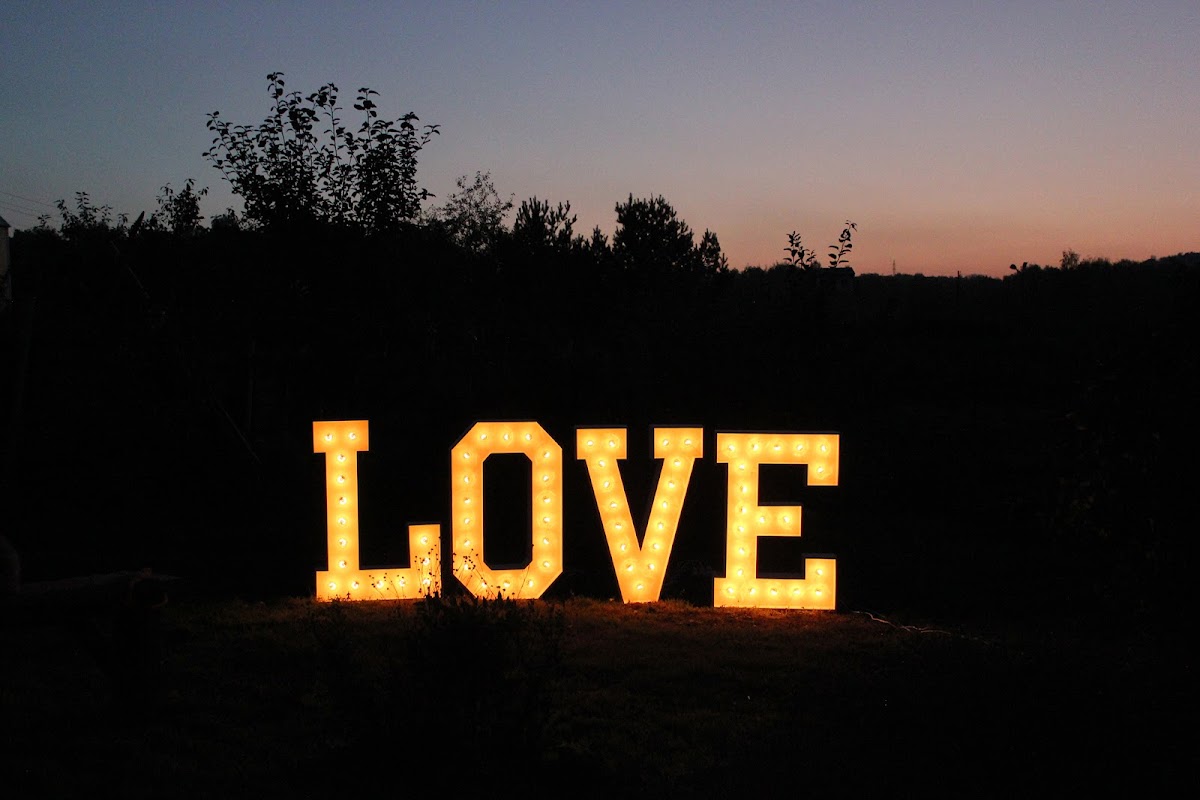 Аренда комплекта букв LOVE