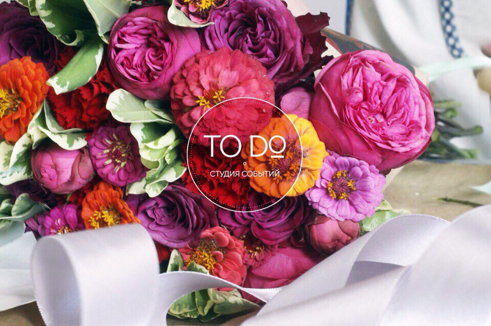 TO DO studio