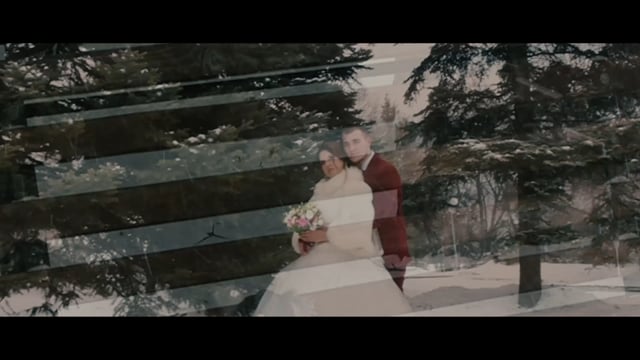 Фотографии