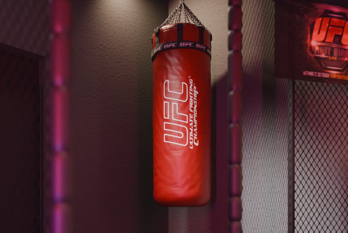 Лофт «UFC»