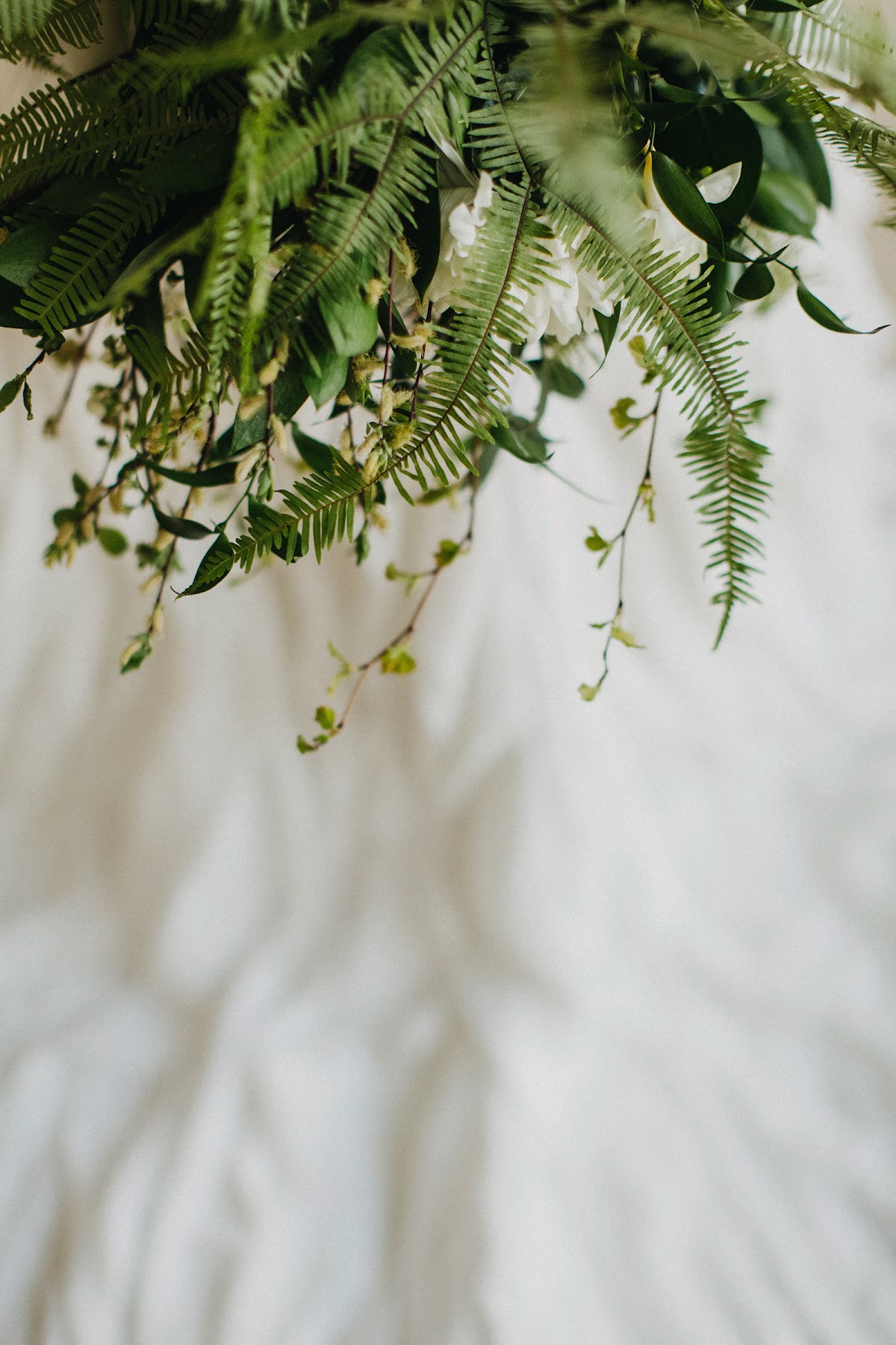 White forest inspiration