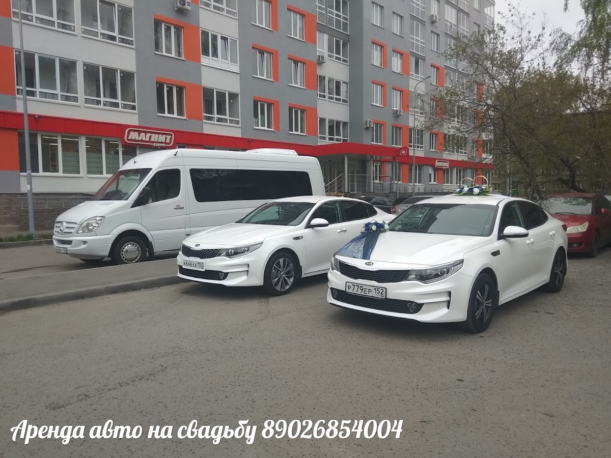 Кадр 58 из 95