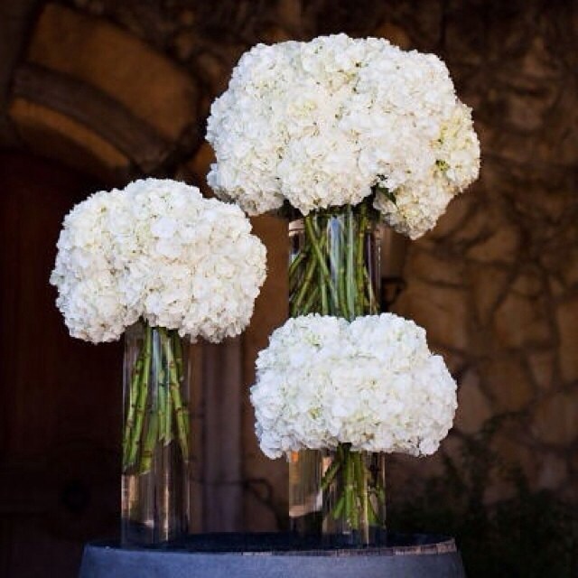 Flowers Retail™