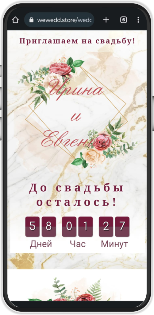 Портфолио